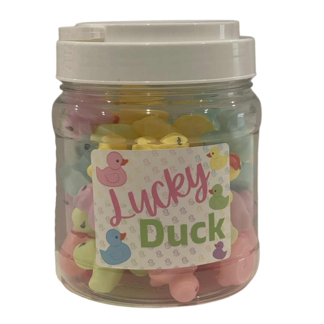 NEW! 30 PASTEL Lucky Ducks - class set of incentive ducks in a home