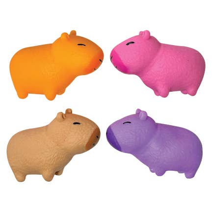4 Pack Capybara Squishy toy