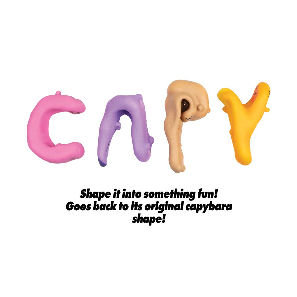 4 Pack Capybara Squishy toy