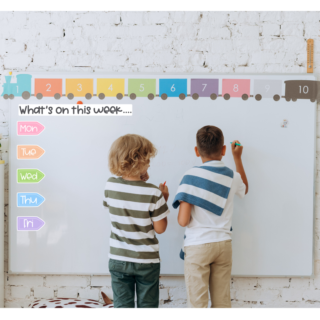 White Board Daily Timetable Magnets - "What&