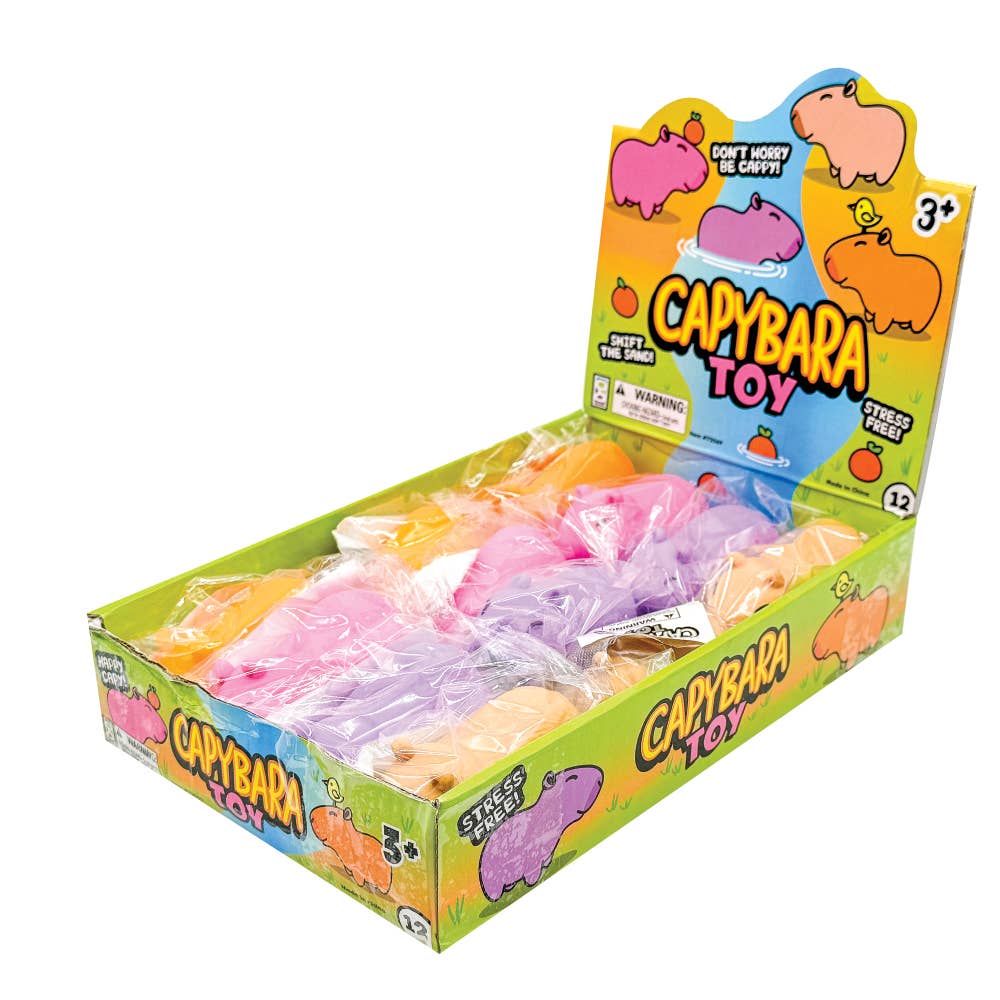 4 Pack Capybara Squishy toy