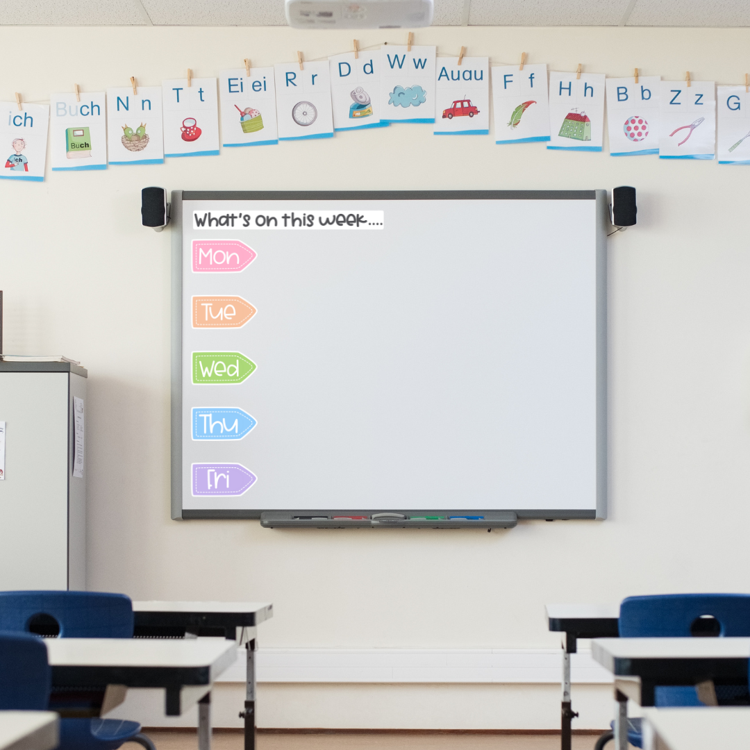 White Board Daily Timetable Magnets - "What&