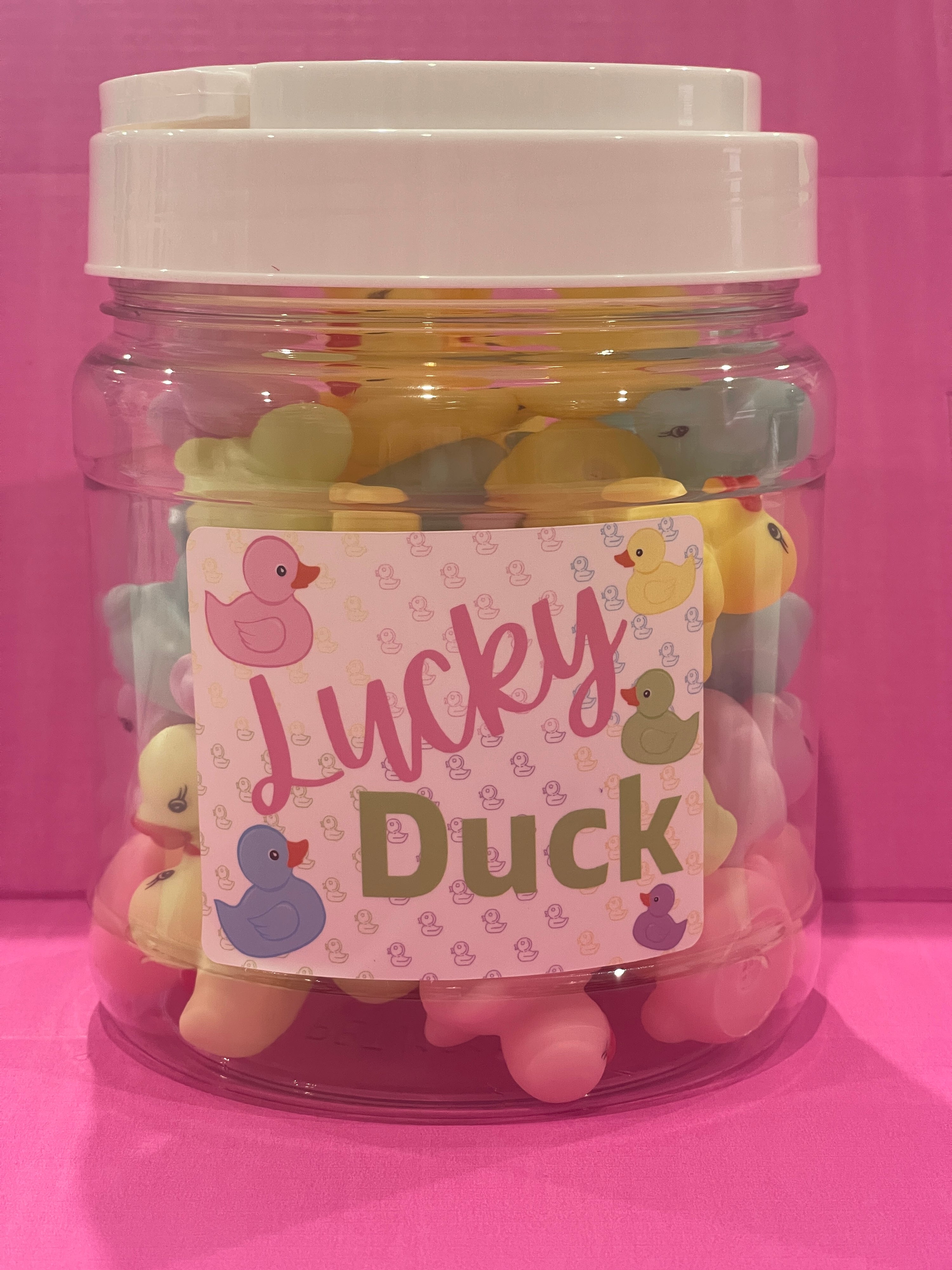 NEW! 30 PASTEL Lucky Ducks - class set of incentive ducks in a home