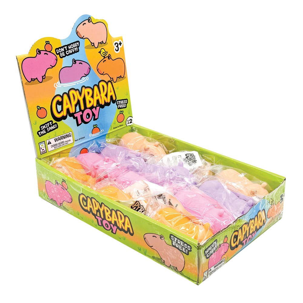 4 Pack Capybara Squishy toy
