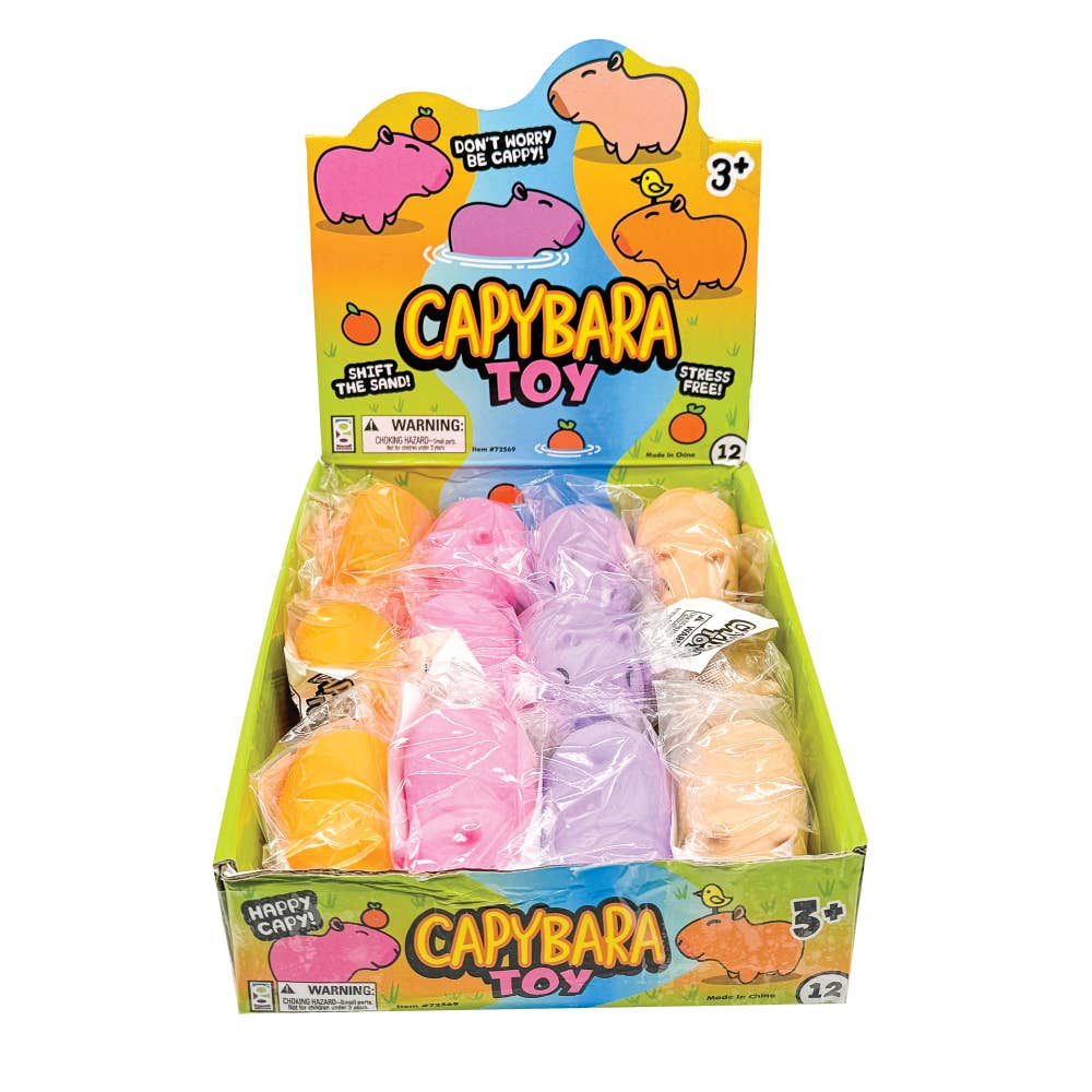 4 Pack Capybara Squishy toy