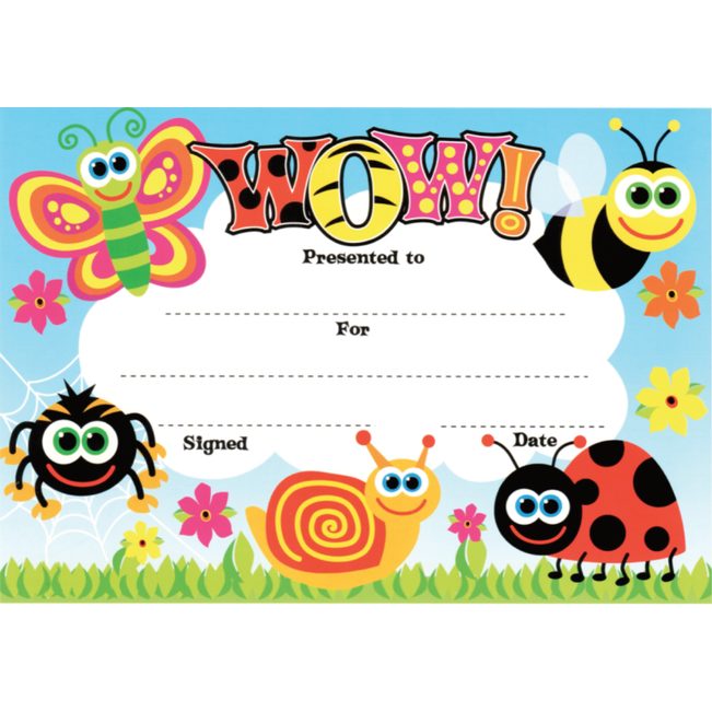 Light Gray 25 "Wow" Student Award Certificates