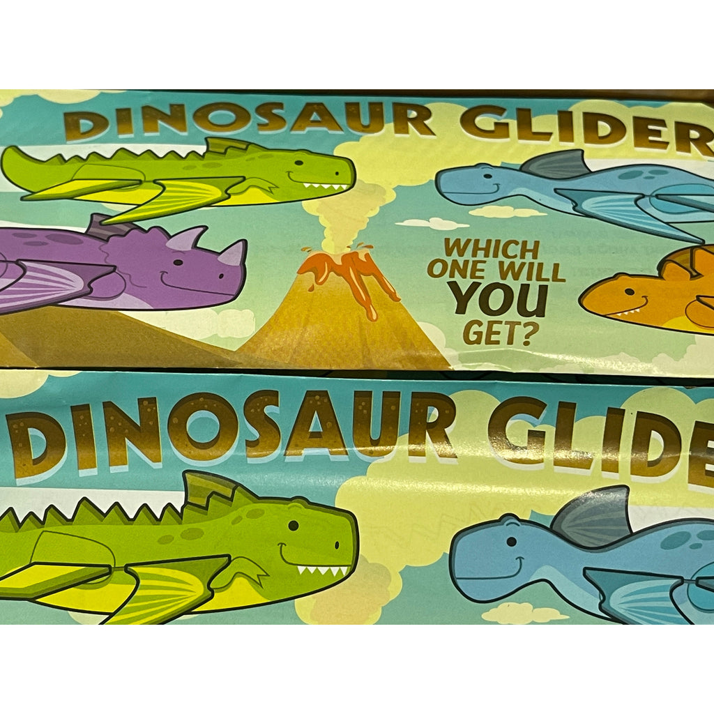 Dark Sea Green NEW!! 12 Pack Dinosaur Foam Gliders - Assorted Colours and Shapes