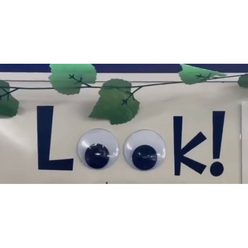 Dark Gray LOOK! Board Decal with Giant Googly Eyes